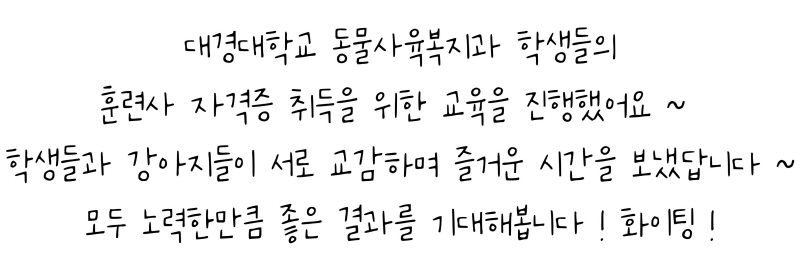 8acc71c67a4447b8284343ca7b87a90d_1691039463_2562.jpg