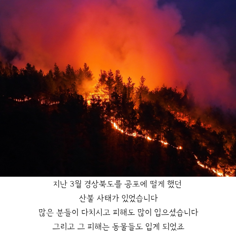 64e82373e71be931ec33c777e503449e_1744782413_5157.png