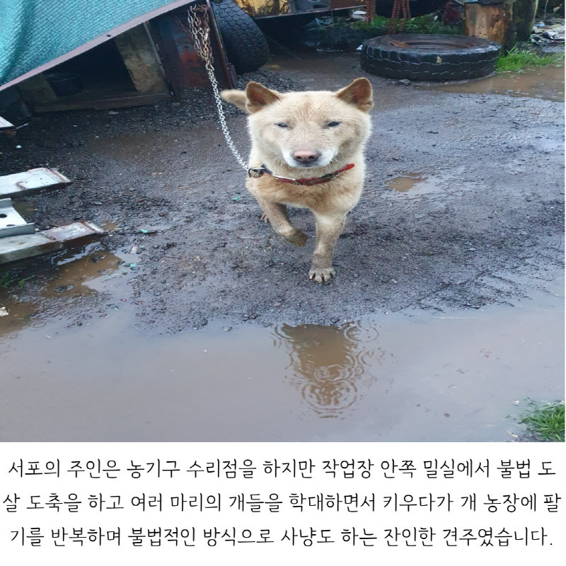 6e664dd46229f8857e2d3ea1025299af_1755062442_8896.png