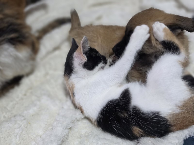 e78e6c105bc5a4d61476495ccc50e247_1792992085_6175.jpg